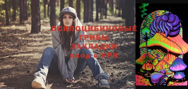 спиды Липки