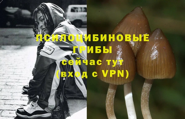 каннабис Великий Новгород