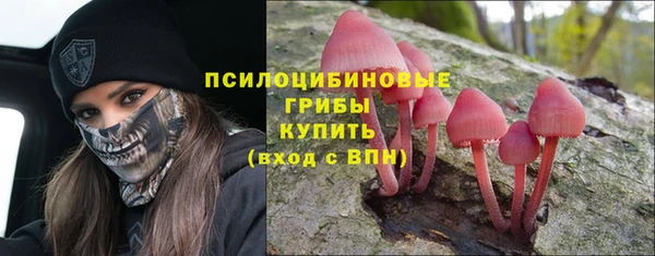 спиды Липки